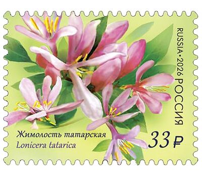  4 почтовые марки «Флора России. Декоративные кустарники» 2026, фото 5 