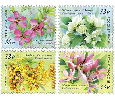  4 почтовые марки «Флора России. Декоративные кустарники» 2026, фото 1 