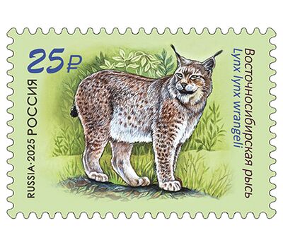 2 почтовые марки «Совместный выпуск России и Лаоса. Фауна» 2025, фото 3   2 почтовые марки «Совместный выпуск России и Лаоса. Фауна» 2025, фото 3