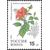  5 почтовых марок «Комнатные растения» 1993, фото 3 