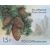  4 почтовые марки «Флора России. Шишки хвойных деревьев и кустарников» 2013, фото 5 