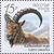  4 почтовые марки «Фауна России. Дикие козлы и бараны» 2013, фото 4 