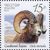  4 почтовые марки «Фауна России. Дикие козлы и бараны» 2013, фото 5 