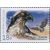  2 почтовые марки «Совместный выпуск России и КНДР. Птицы» 2014, фото 2 