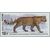  3 почтовые марки «Фауна России. Дикие кошки» 2014, фото 3 