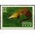  5 почтовых марок «35 лет Сихоте-Алинскому государственному заповеднику» СССР 1970, фото 4 