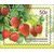  4 почтовые марки «Флора России. Ягоды» 2020, фото 4 