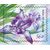  4 почтовые марки «Флора России. Цветы. Ирисы» 2021, фото 5 