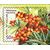  4 почтовые марки «Флора России. Ягоды» 2021, фото 4 