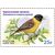  4 почтовые марки «Фауна России. Певчие птицы» 2022, фото 2 
