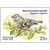  4 почтовые марки «Фауна России. Певчие птицы» 2022, фото 3 