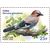  4 почтовые марки «Фауна России. Певчие птицы» 2022, фото 4 