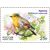 4 почтовые марки «Фауна России. Певчие птицы» 2022, фото 5 