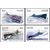  4 почтовые марки «100-летие подводных сил Военно-морского флота России» 2005, фото 1 