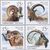  4 почтовые марки «Фауна России. Дикие козлы и бараны» 2013, фото 1 