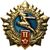  Значок «Готов к Труду и Обороне. Золотой и синий цвет», 2 разряд СССР, фото 1 