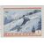  8 почтовых марок «Спорт» СССР 1954, фото 8 