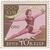  10 почтовых марок «XVII Олимпийские игры в Риме» СССР 1960, фото 2 