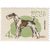  10 почтовых марок «Служебные и охотничьи собаки» СССР 1965, фото 5 