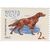  10 почтовых марок «Служебные и охотничьи собаки» СССР 1965, фото 6 