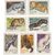  7 почтовых марок «Пушные промысловые звери» СССР 1967, фото 1 