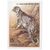  3 почтовые марки «Млекопитающие, занесенные в Красную книгу» СССР 1987, фото 4 